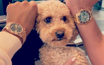 Can you identify this watch?