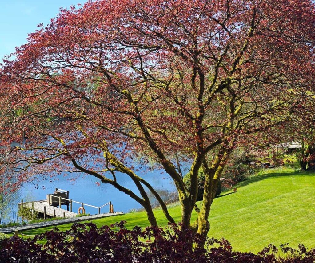 Private spa suite terrace at Gilpin Hotel and Lake House near Windermere in the Lake District