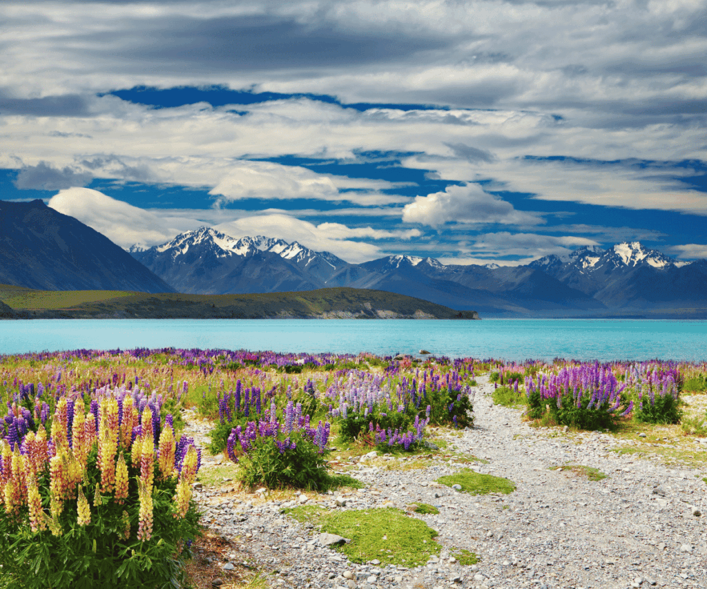 The Quiet Luxury of Wild New Zealand A quiet luxury lodge view over a wild New Zealand landscape with mountains, forest and soft rain