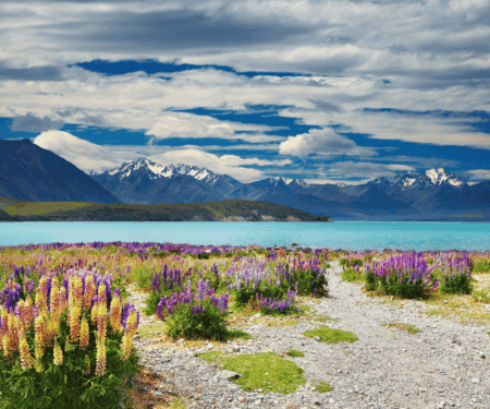 A quiet luxury lodge view over a wild New Zealand landscape with mountains, forest and soft rain