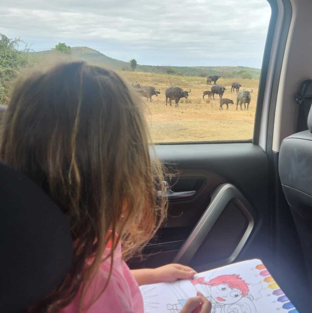 How One Family Is Making St Lucia South Africa a Safari Playground for Kids Family safari vehicle in St Lucia South Africa watching wildlife near wetlands at dusk