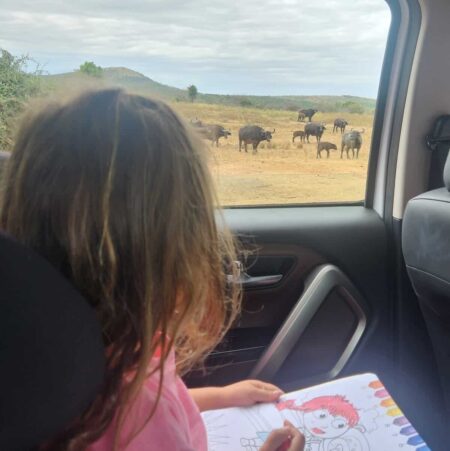 Family safari vehicle in St Lucia South Africa watching wildlife near wetlands at dusk