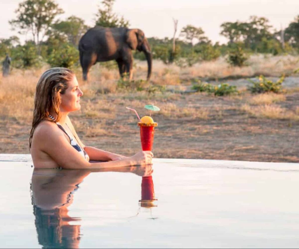 Private Concessions Are Redefining the Modern Safari Safari vehicle watching elephants at a quiet waterhole in a private African concession