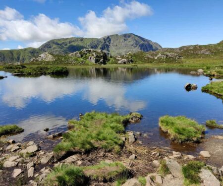 A calm Lake District shoreline in summer with mountains in the distance