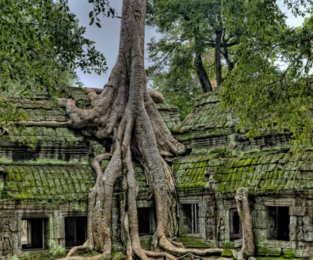 Cambodia Is the Luxury Escape Travellers Keep Underestimating Angkor Wat at sunrise reflected in water with jungle surroundings in Cambodia