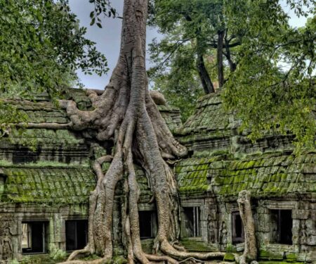 Angkor Wat at sunrise reflected in water with jungle surroundings in Cambodia