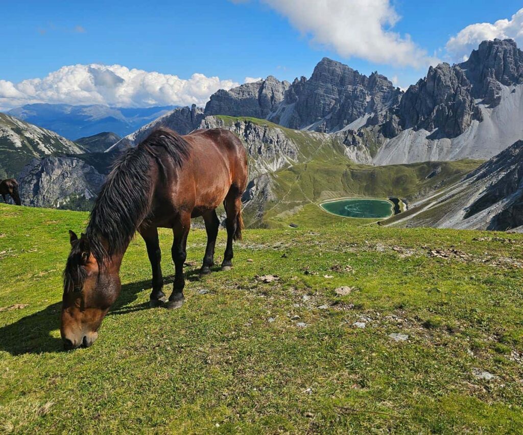 Hochtennbodensteig Is the Innsbruck Hike for Families Ready for Real Alpine Terrain High-altitude hiking trail in Axamer Lizum near Innsbruck with limestone peaks and alpine meadows
