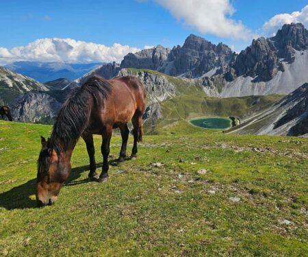 Hochtennbodensteig Is the Innsbruck Hike for Families Ready for Real Alpine Terrain High-altitude hiking trail in Axamer Lizum near Innsbruck with limestone peaks and alpine meadows
