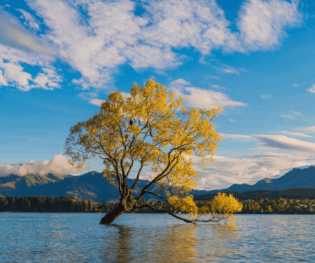 New Zealand in Autumn Rewards Travellers Who Slow Down Autumn colours along a river in Central Otago, New Zealand